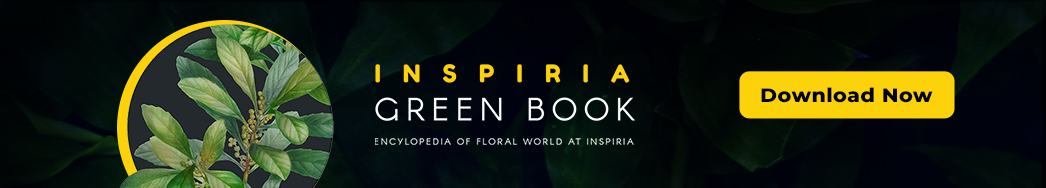 Inspiria Green Book-download a copy